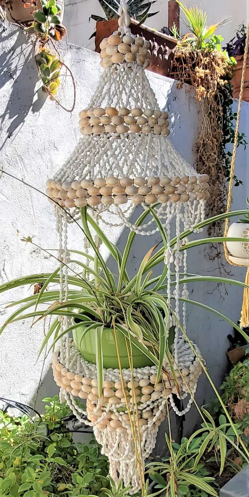 Macramé Plant Hangers