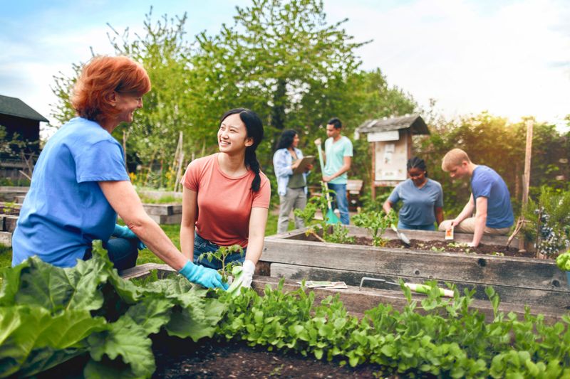 Community Gardens