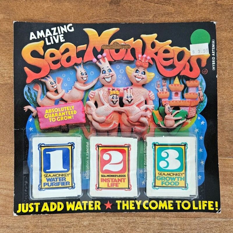 Sea Monkeys