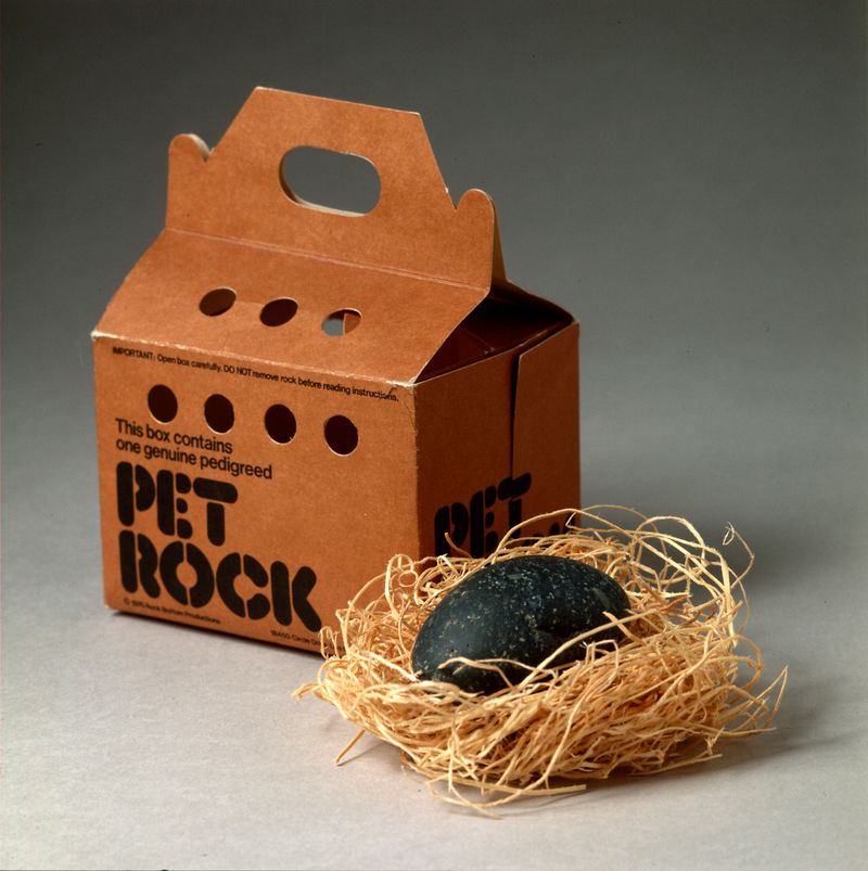 Pet Rock (1970s)