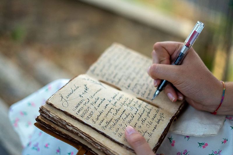 Writing in a Journal