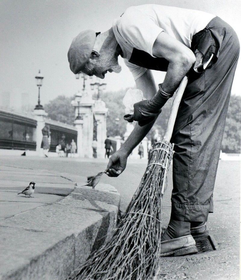 Feeding the Birds