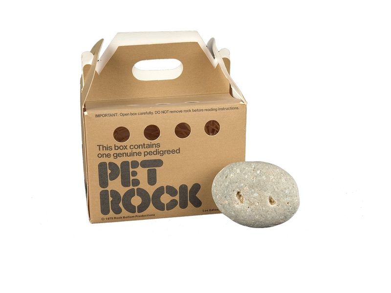 Pet Rocks