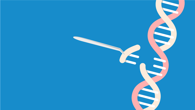 CRISPR Gene Editing