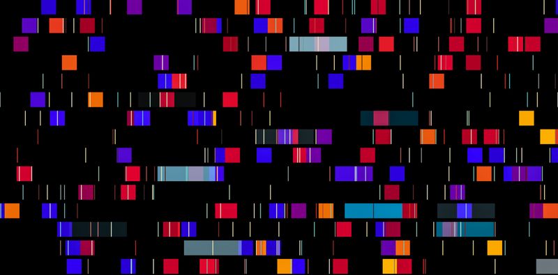 Human Genome Project