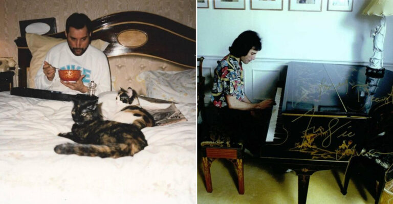 26 Intriguing Facts You Didn’t Know About Freddie Mercury