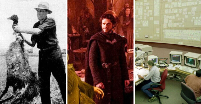 30 Collective Blunders That Left Us Scratching Our Heads
