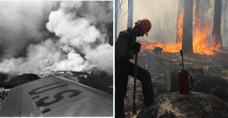 9 Biggest Wildfires in the History of America