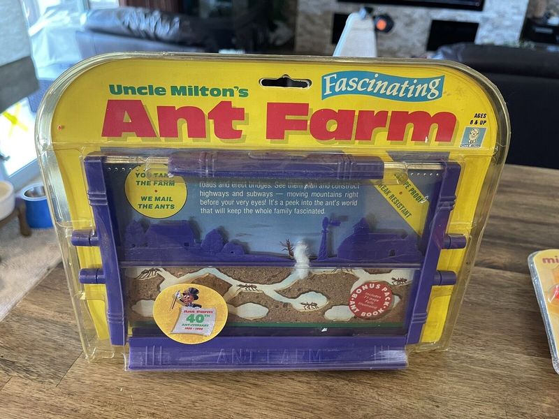 Ant Farm