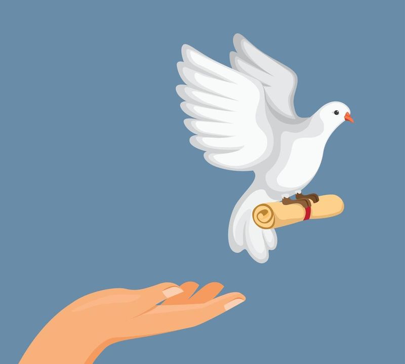 Art of Pigeon Messaging