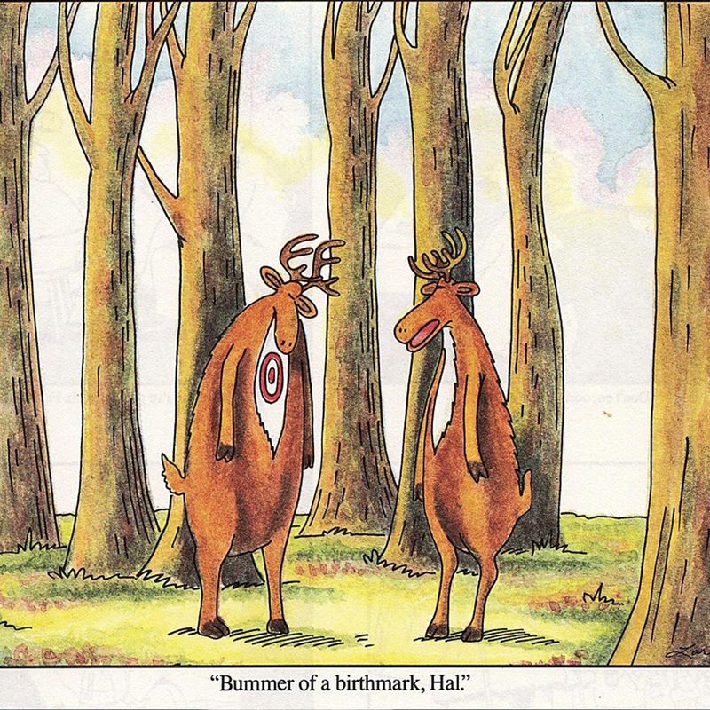 Bummer of a Birthmark, Hal (1983)