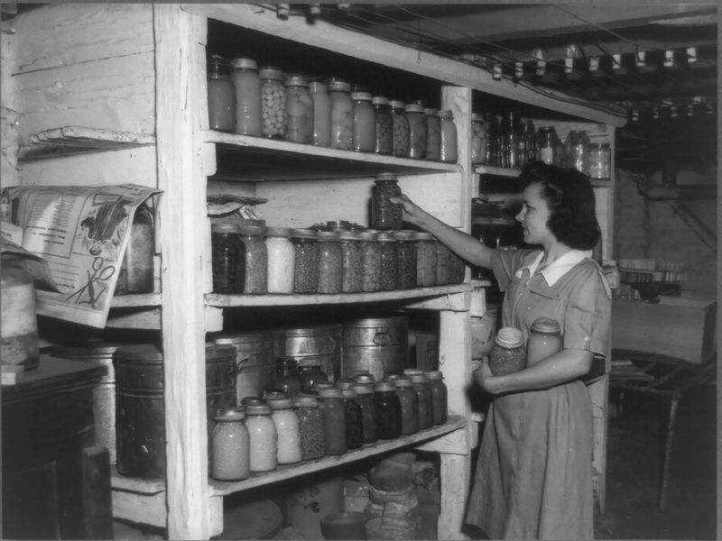 Canning and Preserving Food