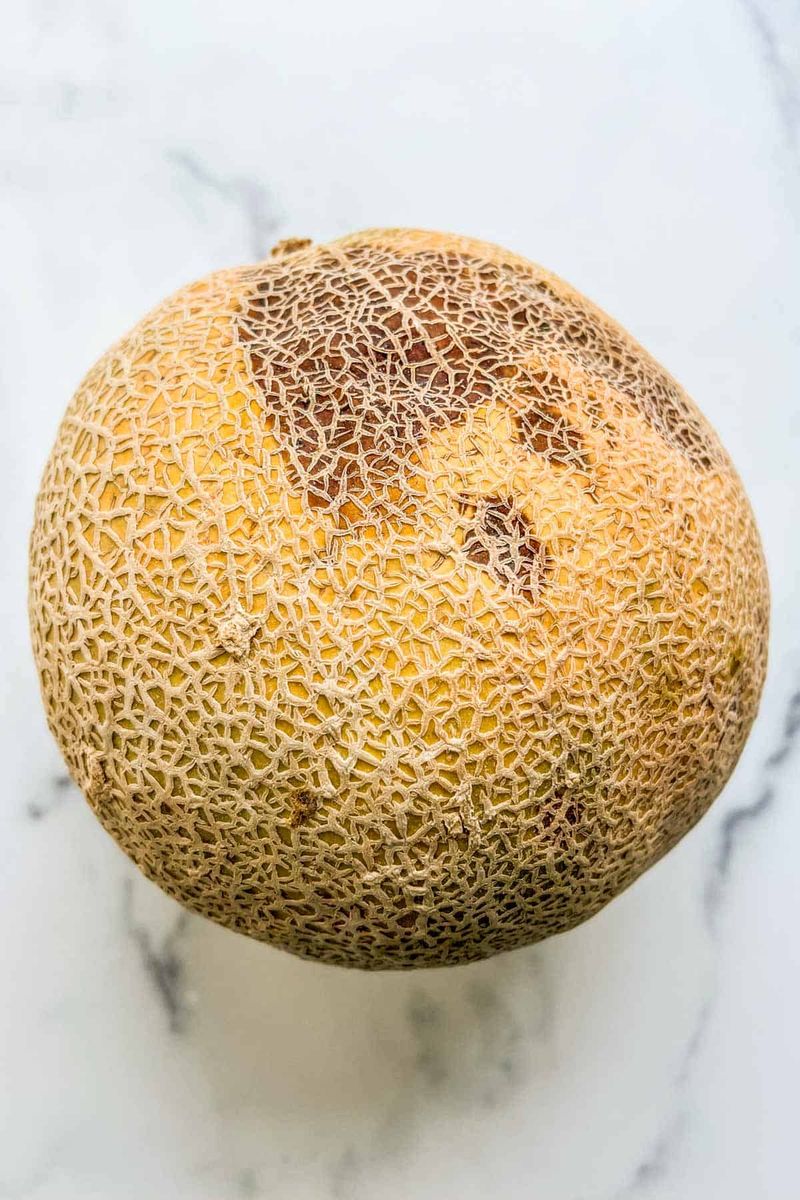 Cantaloupe