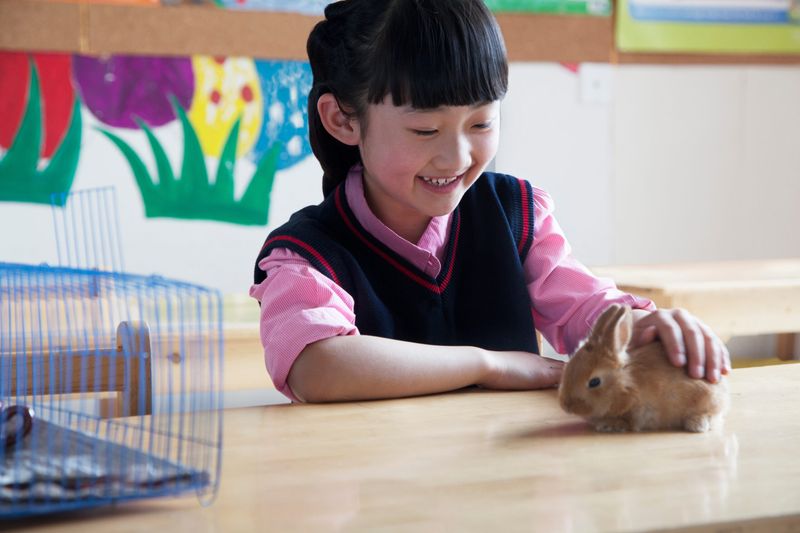 Classroom Pet Projects