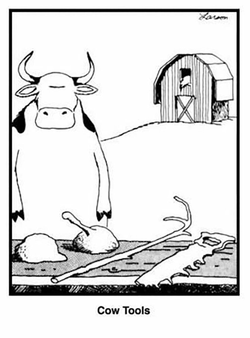 Cow Tools (1982)