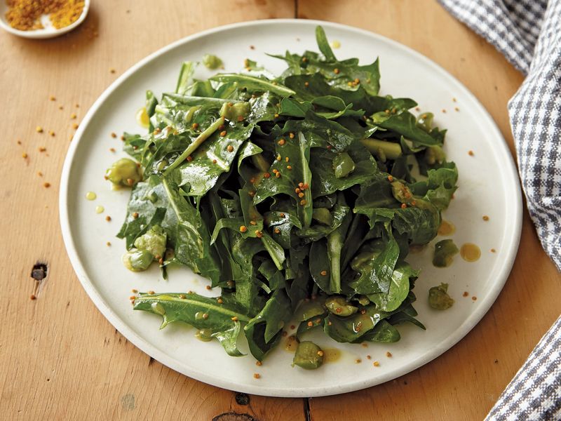 Dandelion Salad