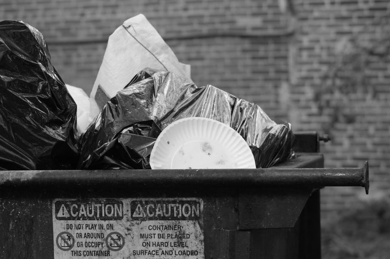 Dumpster Diving for Necessities