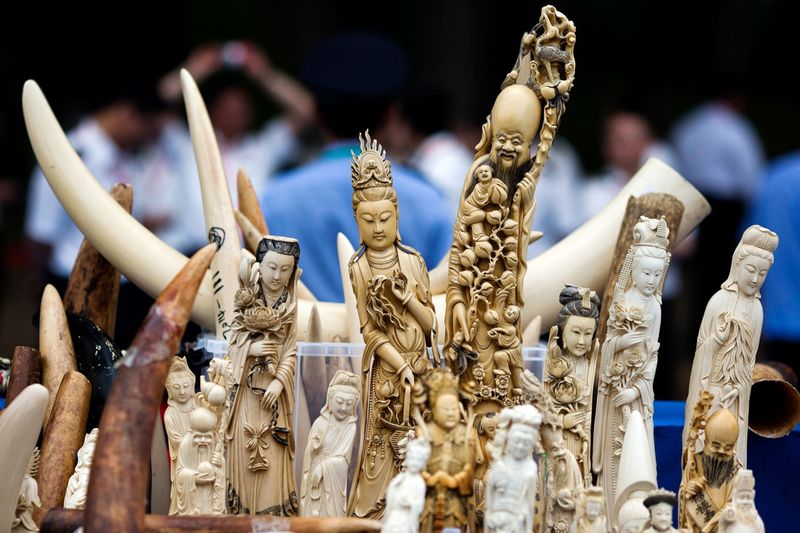Elephant Ivory Trade