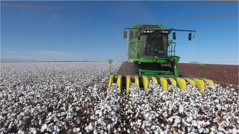 Farm Laborers