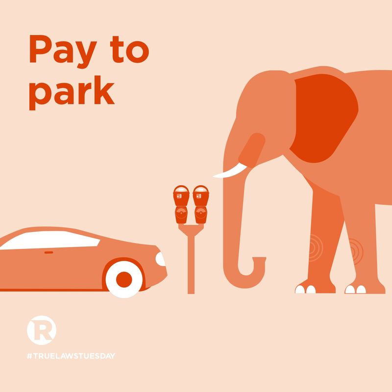 Florida's Elephant Parking Law