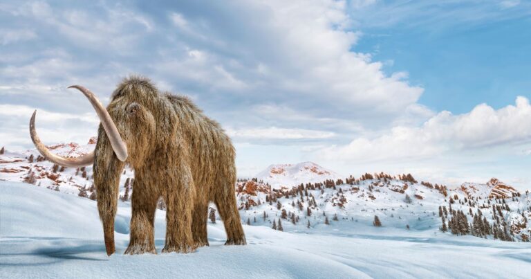 From Extinct to Alive: The Science Behind Restoring the Woolly Mammoth