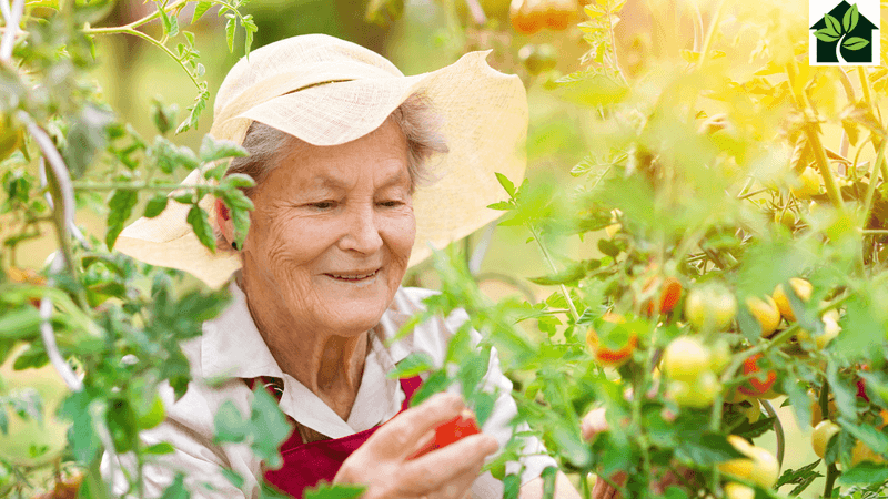 Gardening for Wellness