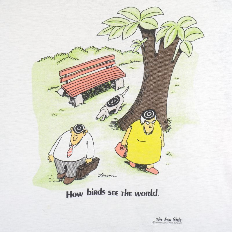 How Birds See the World (1985)