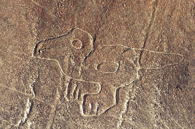 The Nazca Lines
