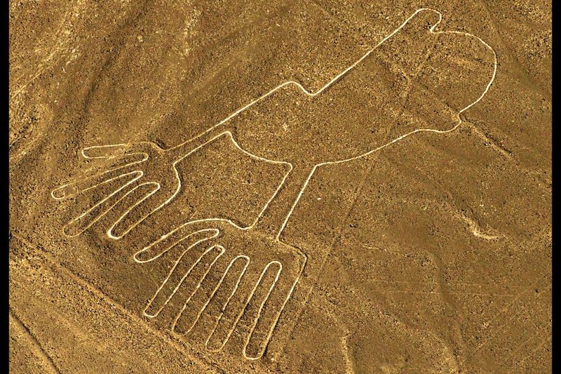 The Nazca Lines