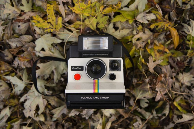 Polaroid Cameras