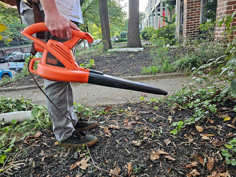 Leaf Blower Noise