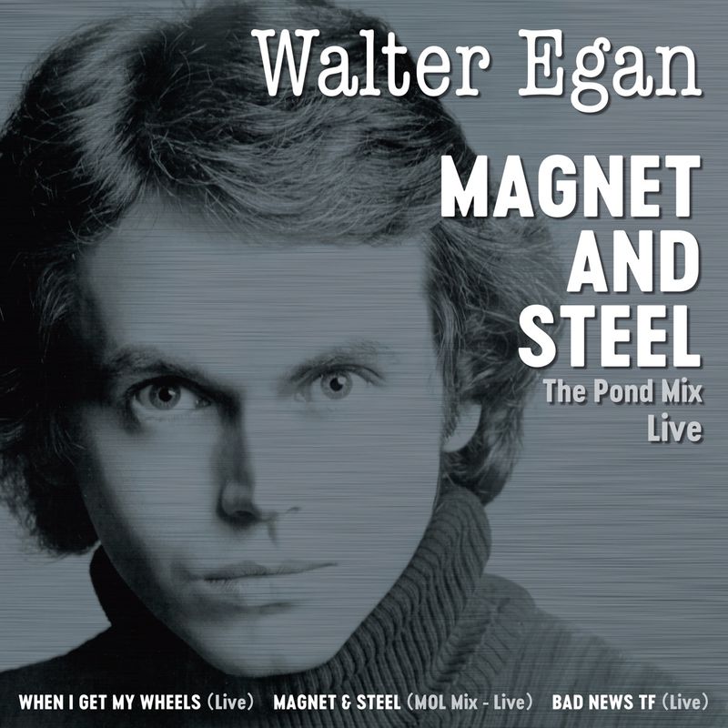 Magnet and Steel - Walter Egan