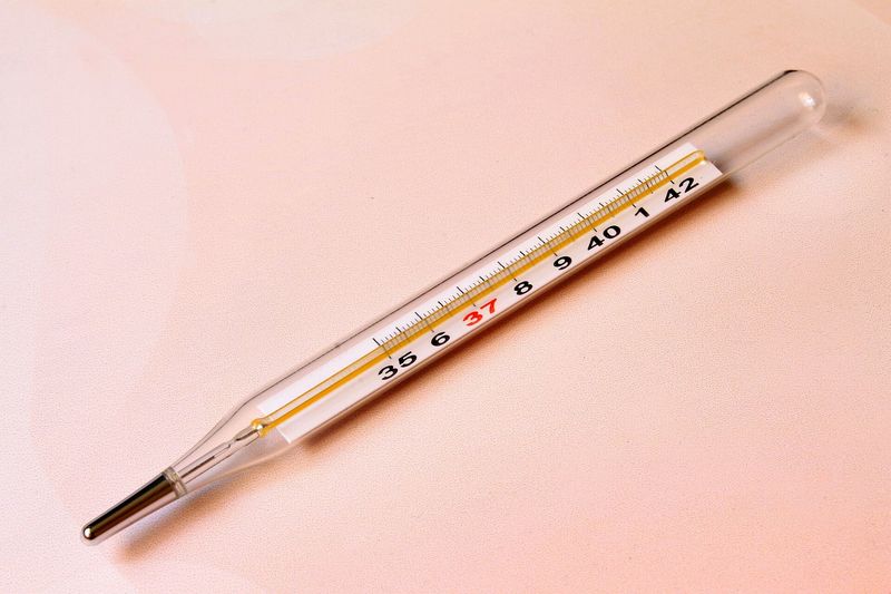 Mercury Thermometers