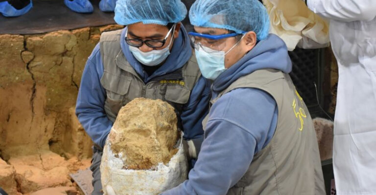 New Discoveries in Chinese Fossils Might Redefine the Story of Humanity