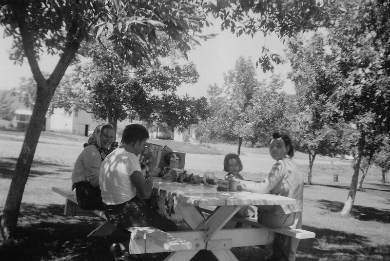 Picnics in the Park