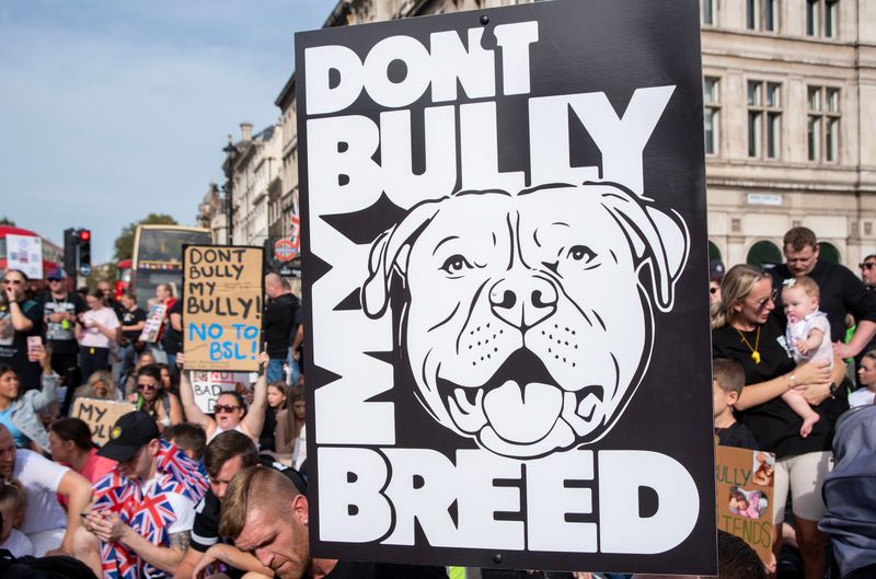 Pit Bull Ownership