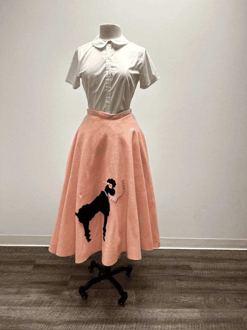 Poodle Skirt Dress