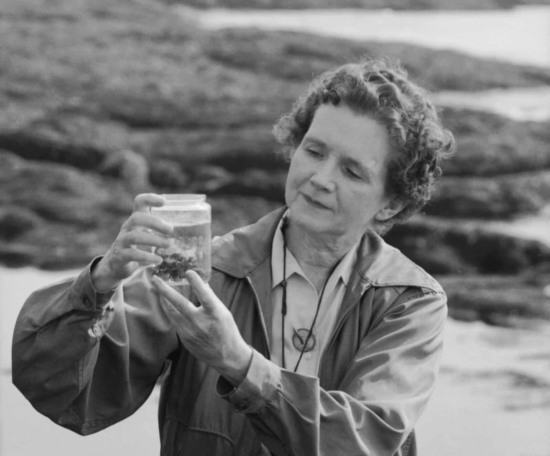 Rachel Carson