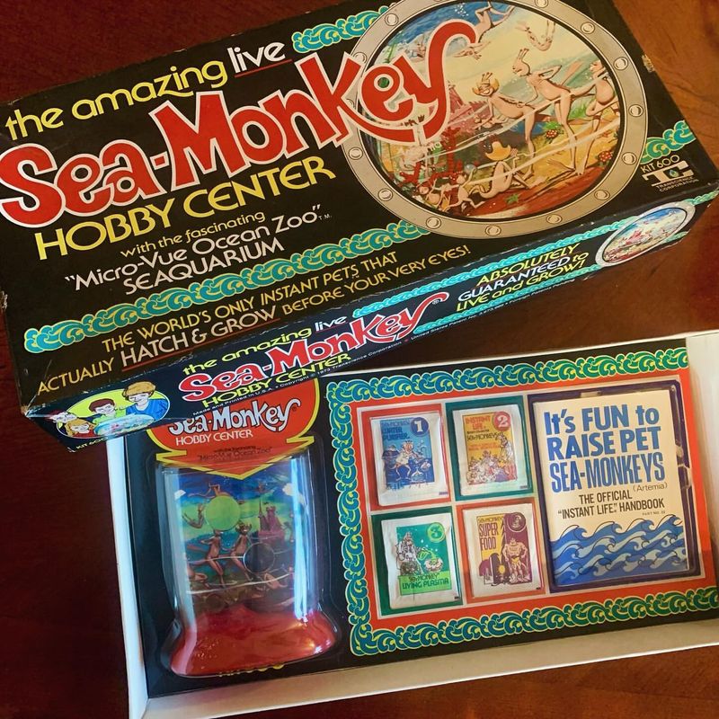 Sea Monkeys