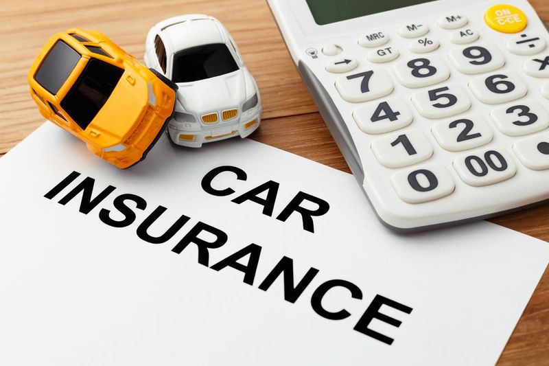 A Year of Car Insurance