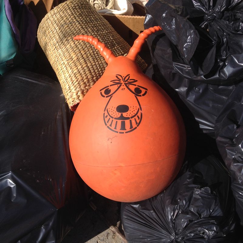 Space Hopper