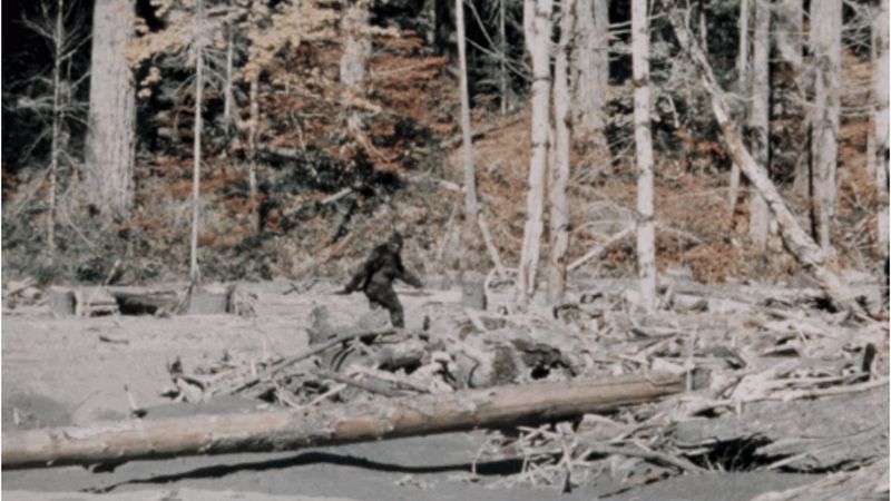 The Bigfoot Phenomenon