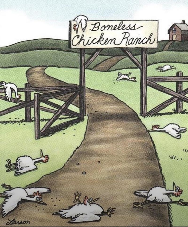 The Boneless Chicken Ranch (1981)