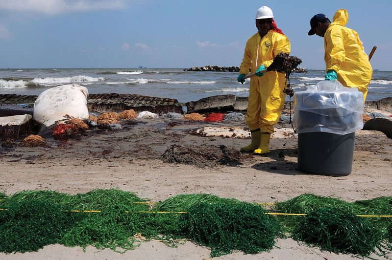 The Deepwater Horizon Oil Spill