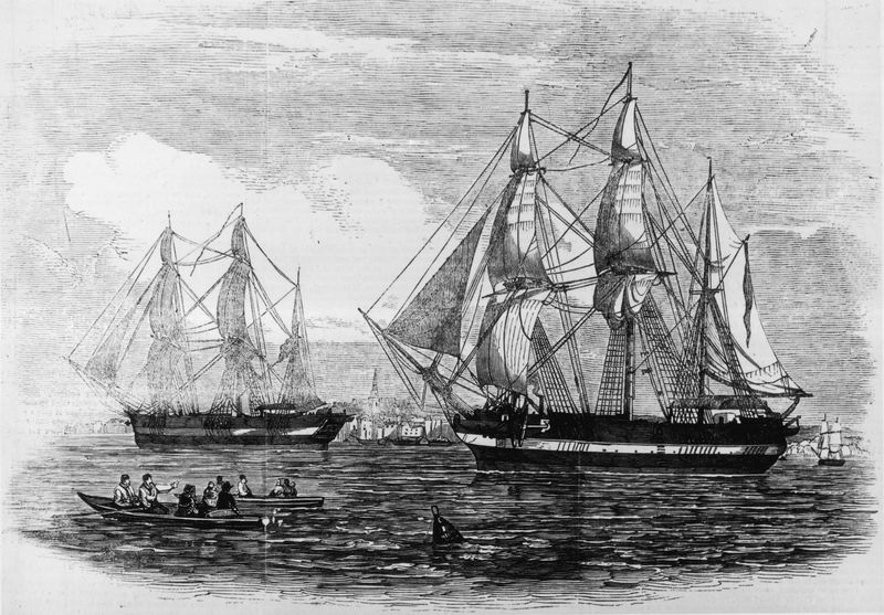 The HMS Terror and HMS Erebus