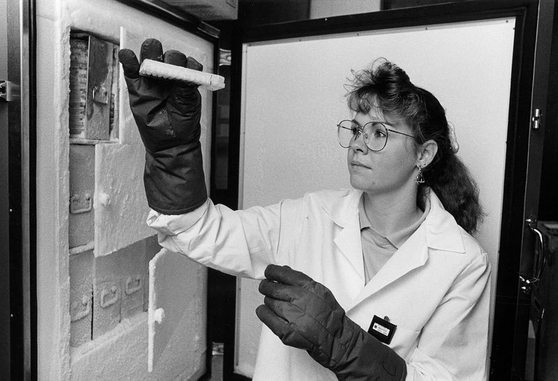 The Human Genome Project (1990-2003)