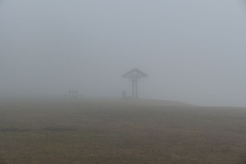 The Mysterious Fog of Battle