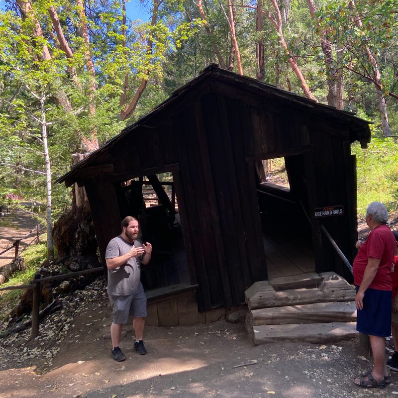 The Oregon Vortex