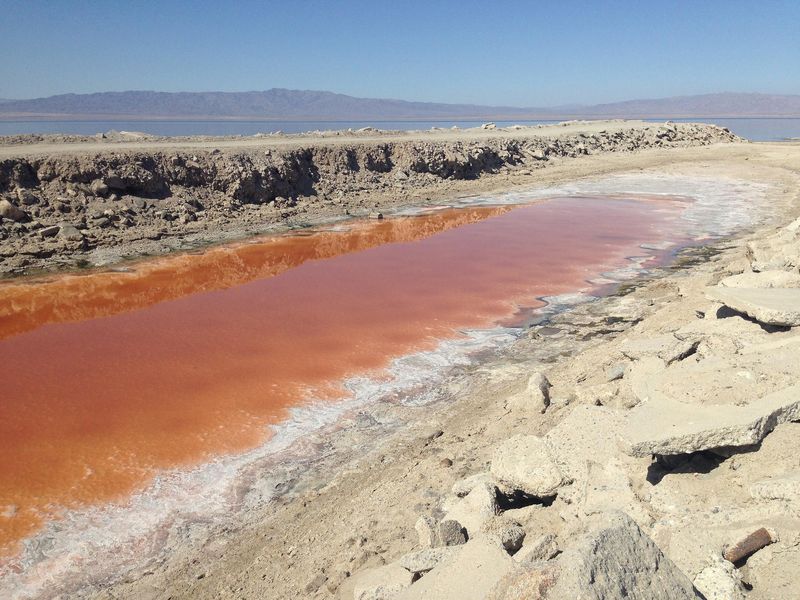 The Salton Sea (California)