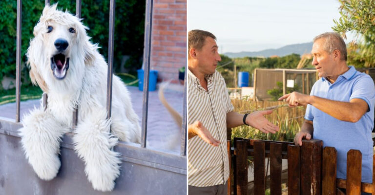 The Top 20 Legal Neighborly Annoyances Since the Sixties